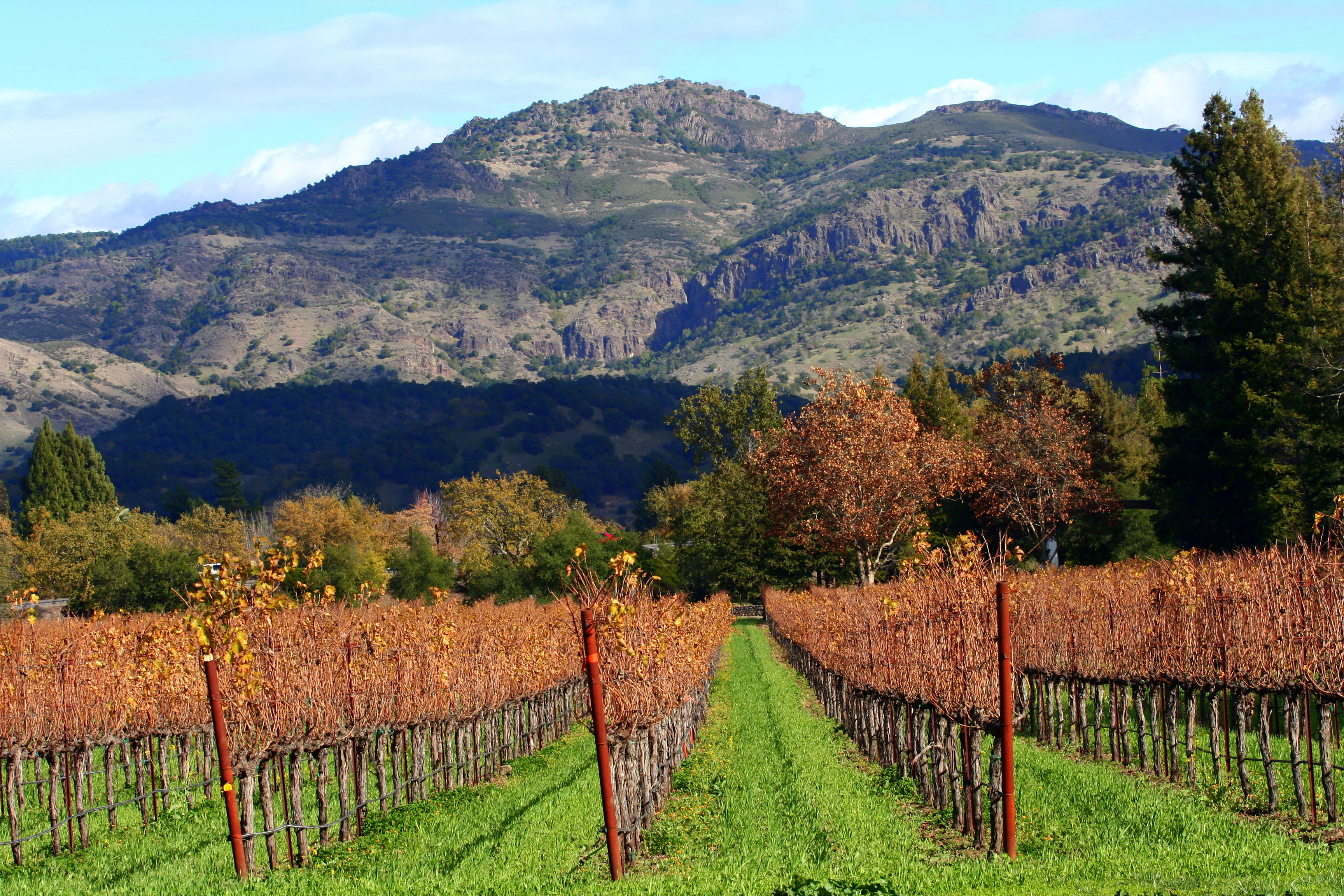 Commercial robots napa county - Napa County, CA
