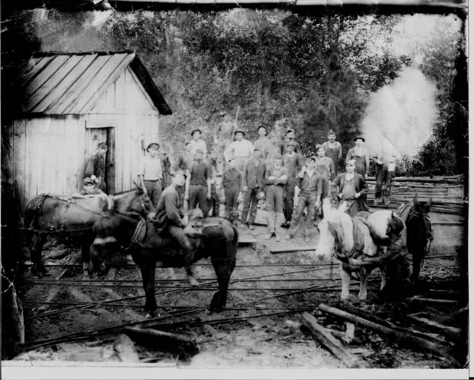Commercial robots nauvoo - Nauvoo, AL