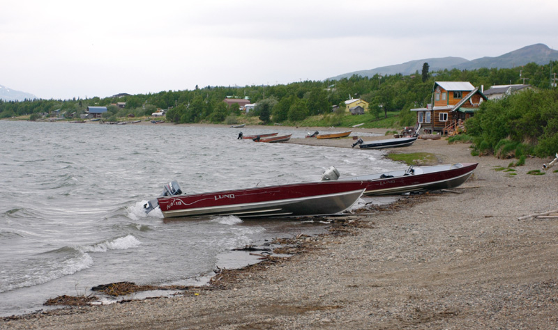 Commercial robots nondalton - Nondalton, AK