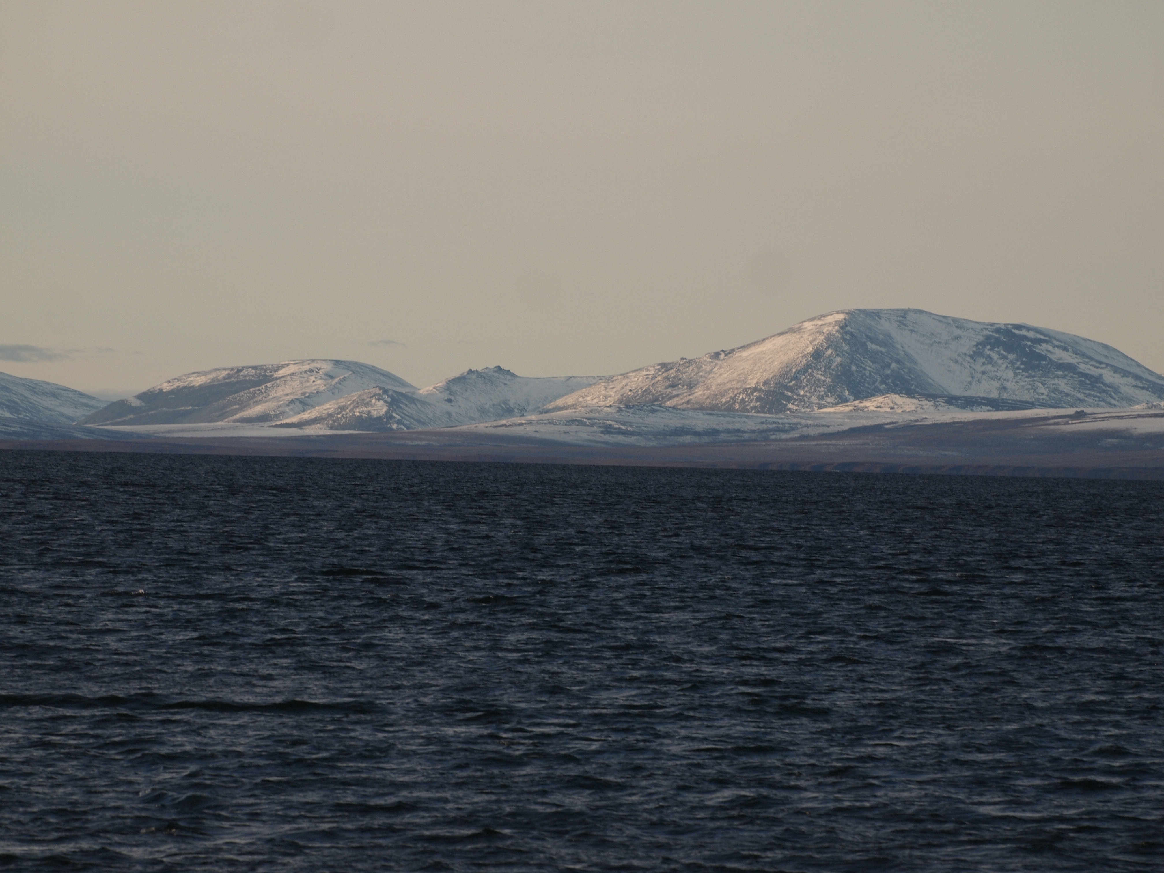 Commercial robots northwest arctic - Northwest Arctic, AK