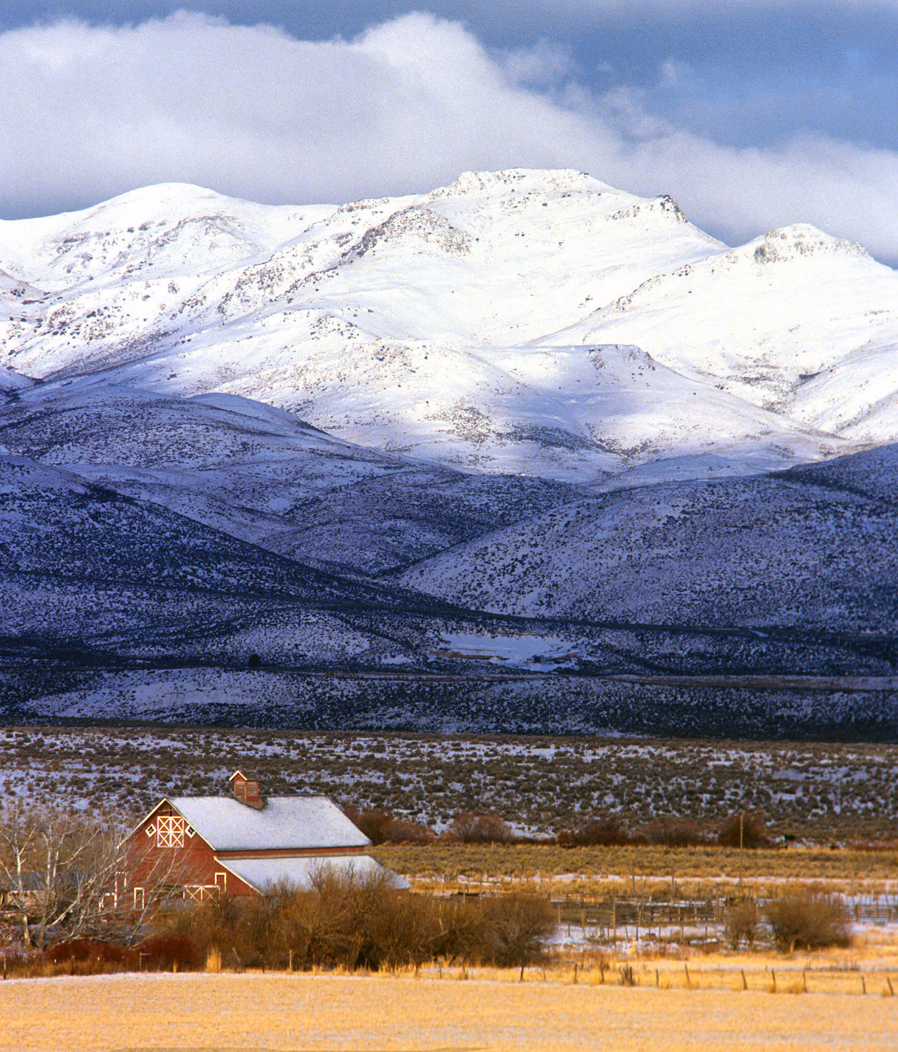 Commercial robots owyhee - Owyhee, ID