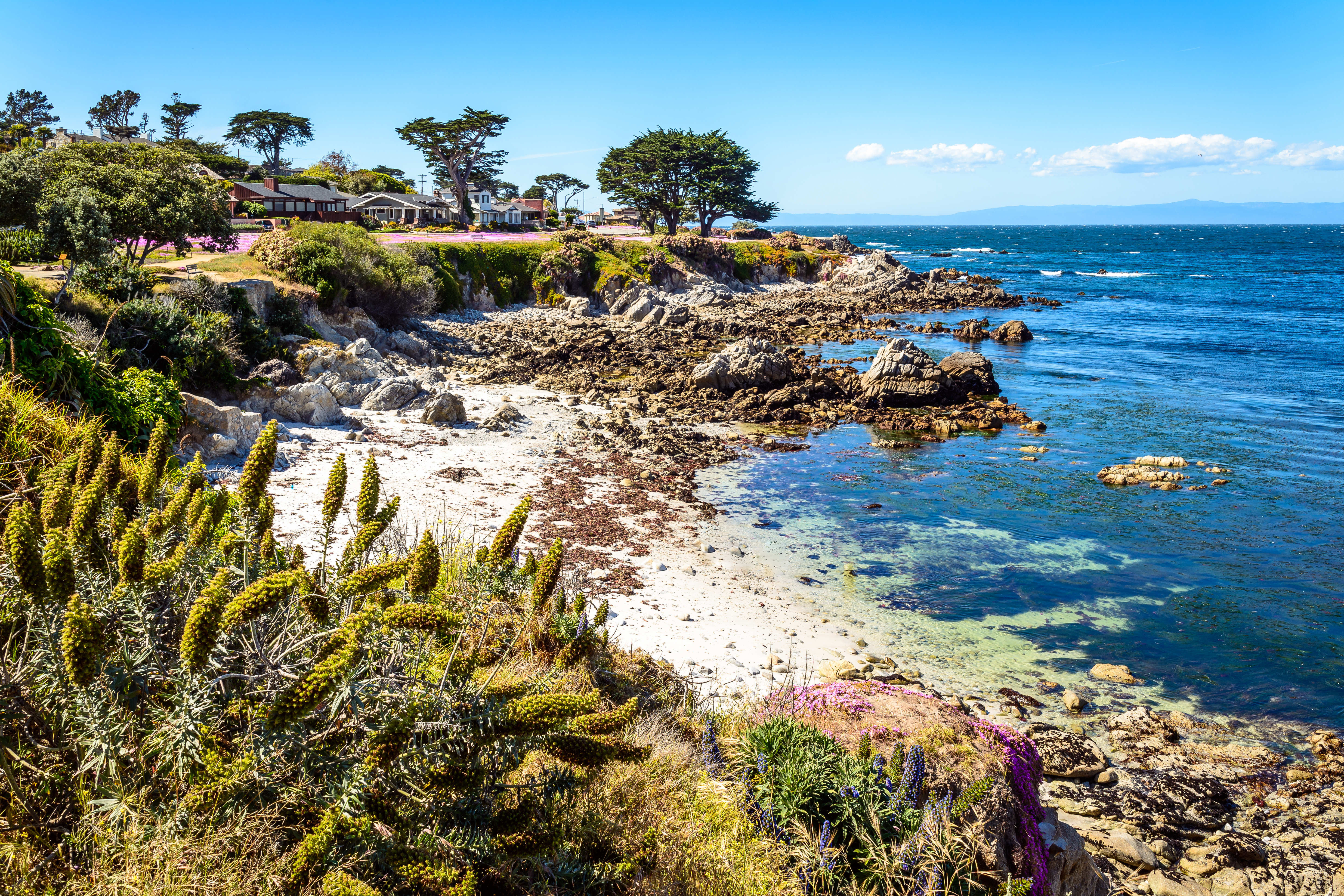 Commercial robots pacific grove - Pacific Grove, CA