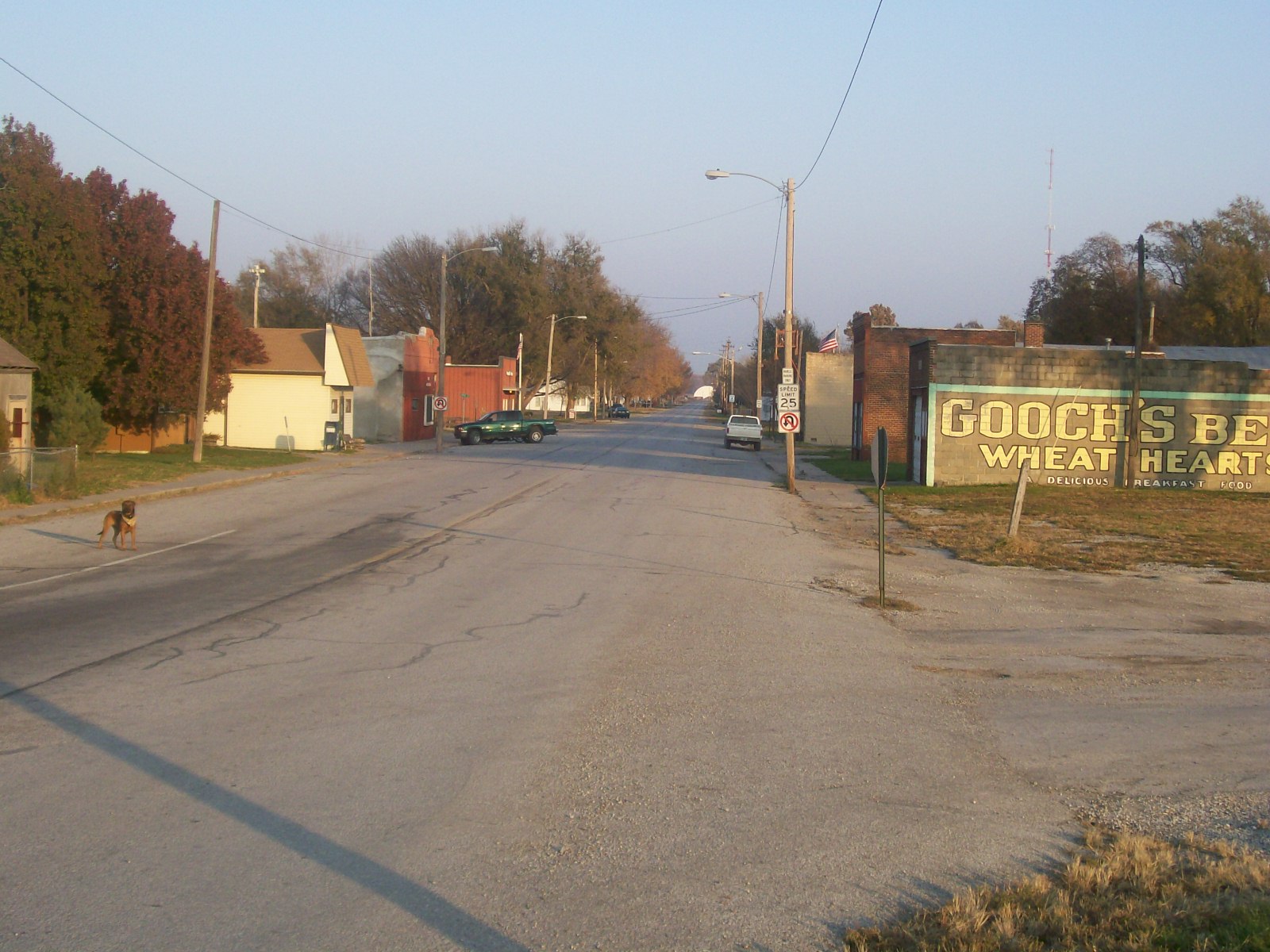 Commercial robots pacific junction - Pacific Junction, IA