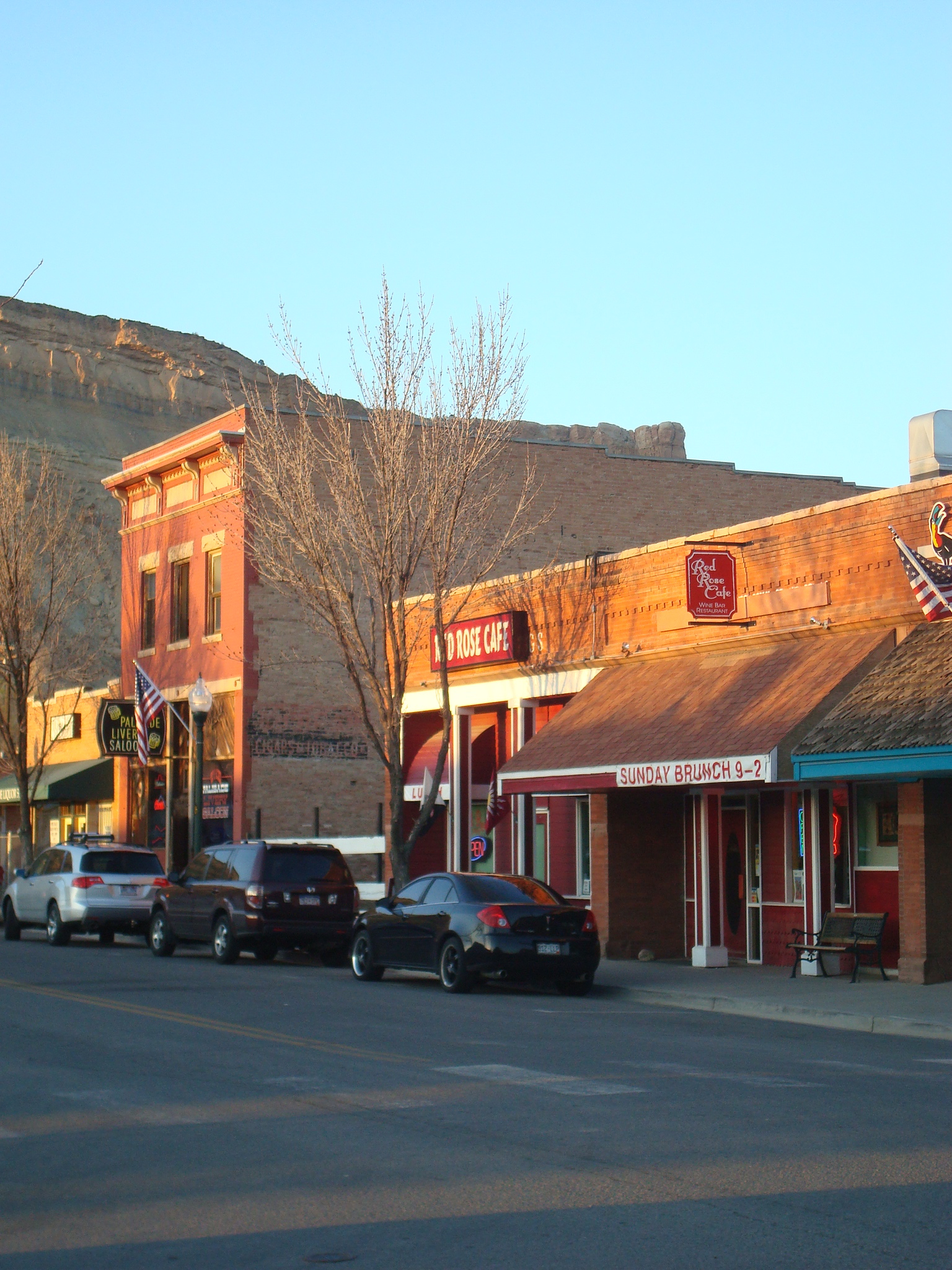 Commercial robots palisade - Palisade, CO