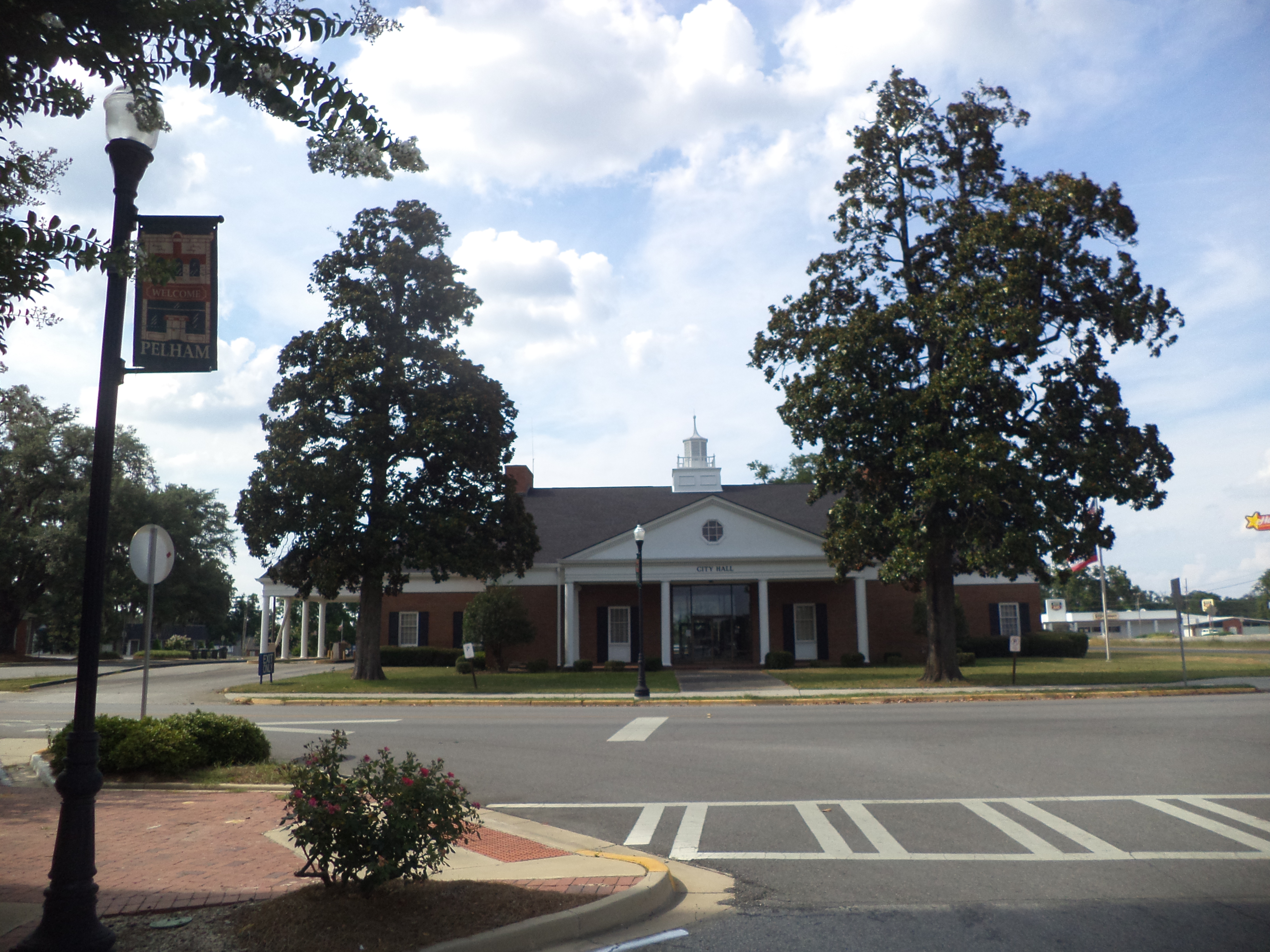 Commercial robots pelham - Pelham, GA