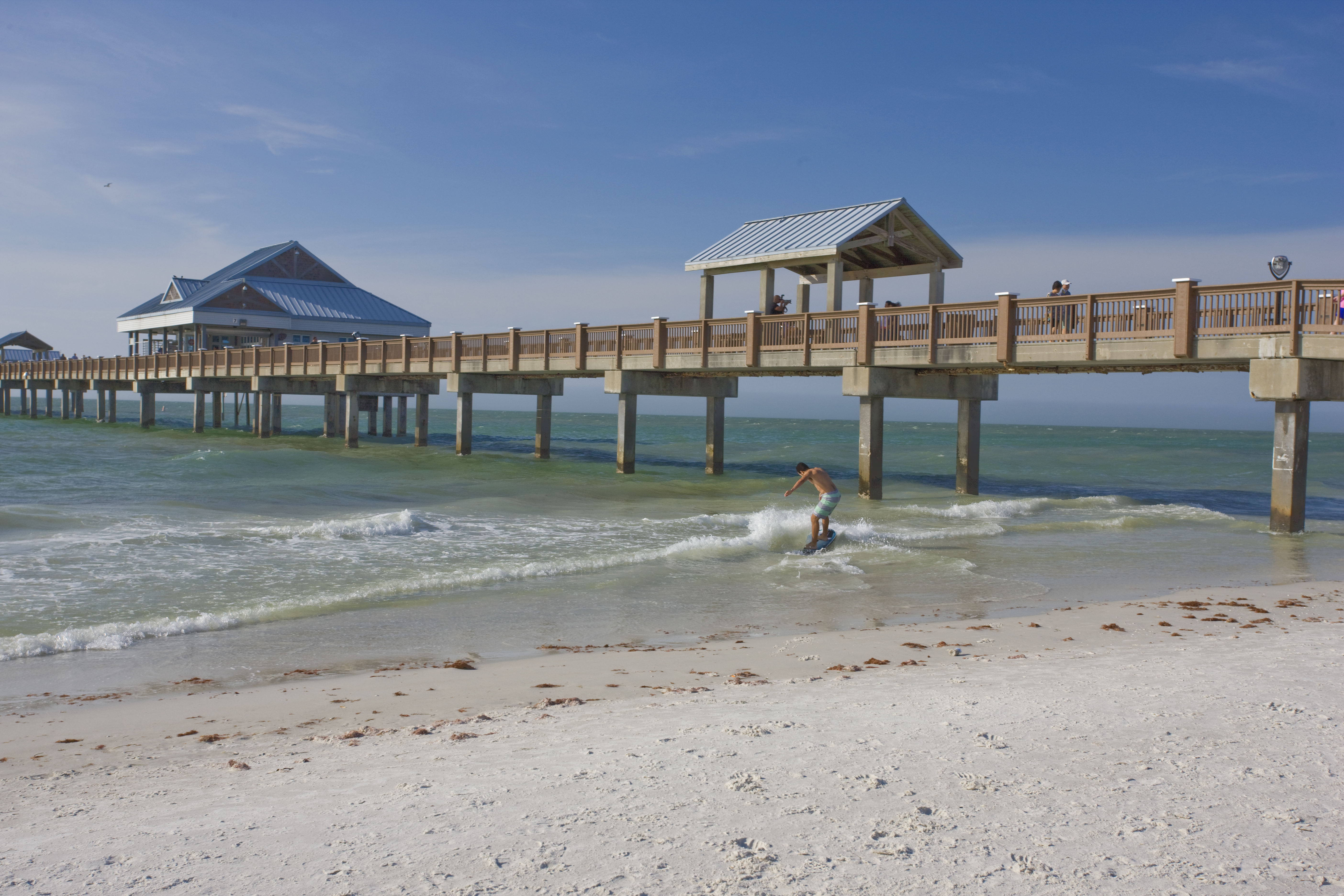 Commercial robots pinellas - Pinellas, FL
