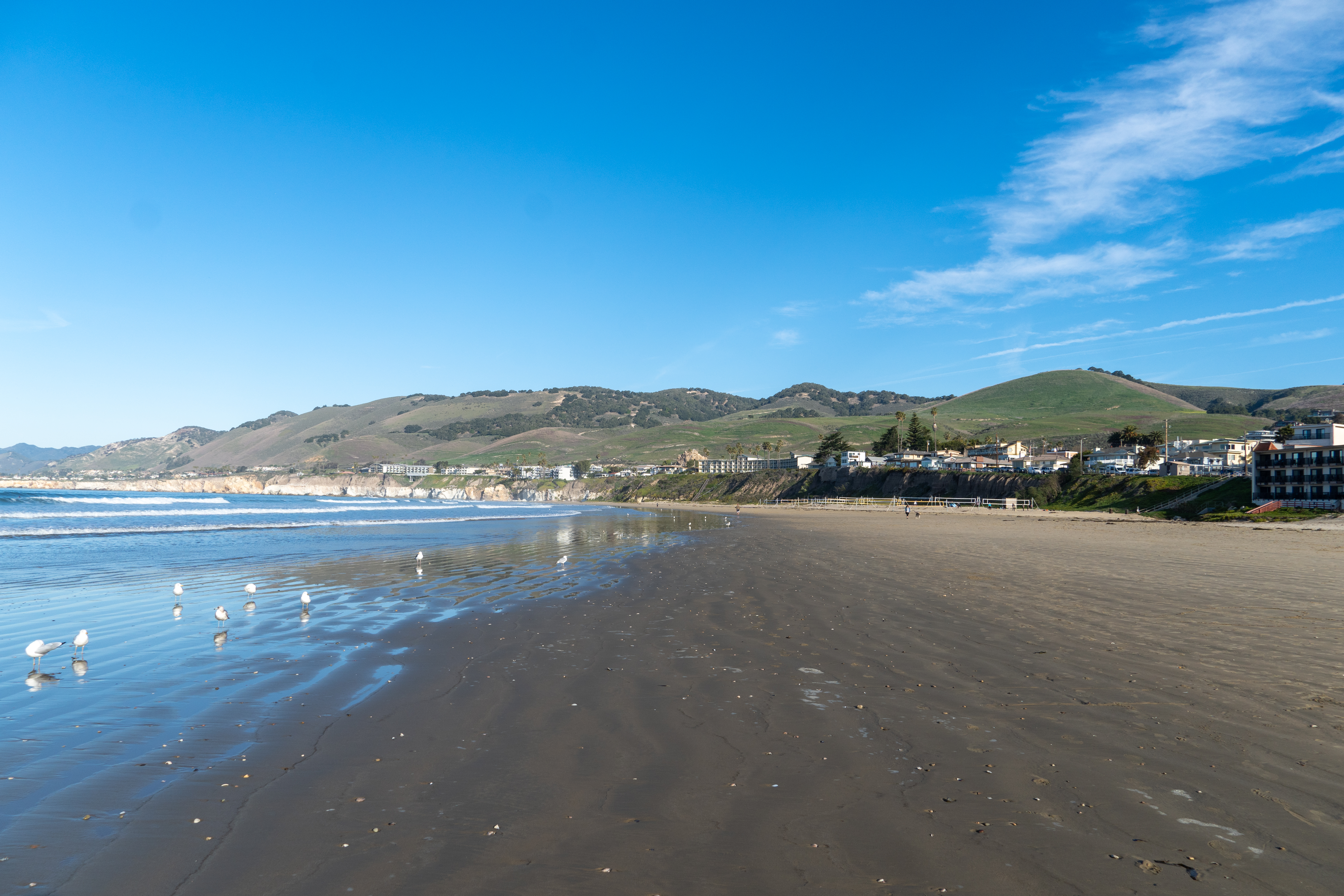 Commercial robots pismo beach - Pismo Beach, CA