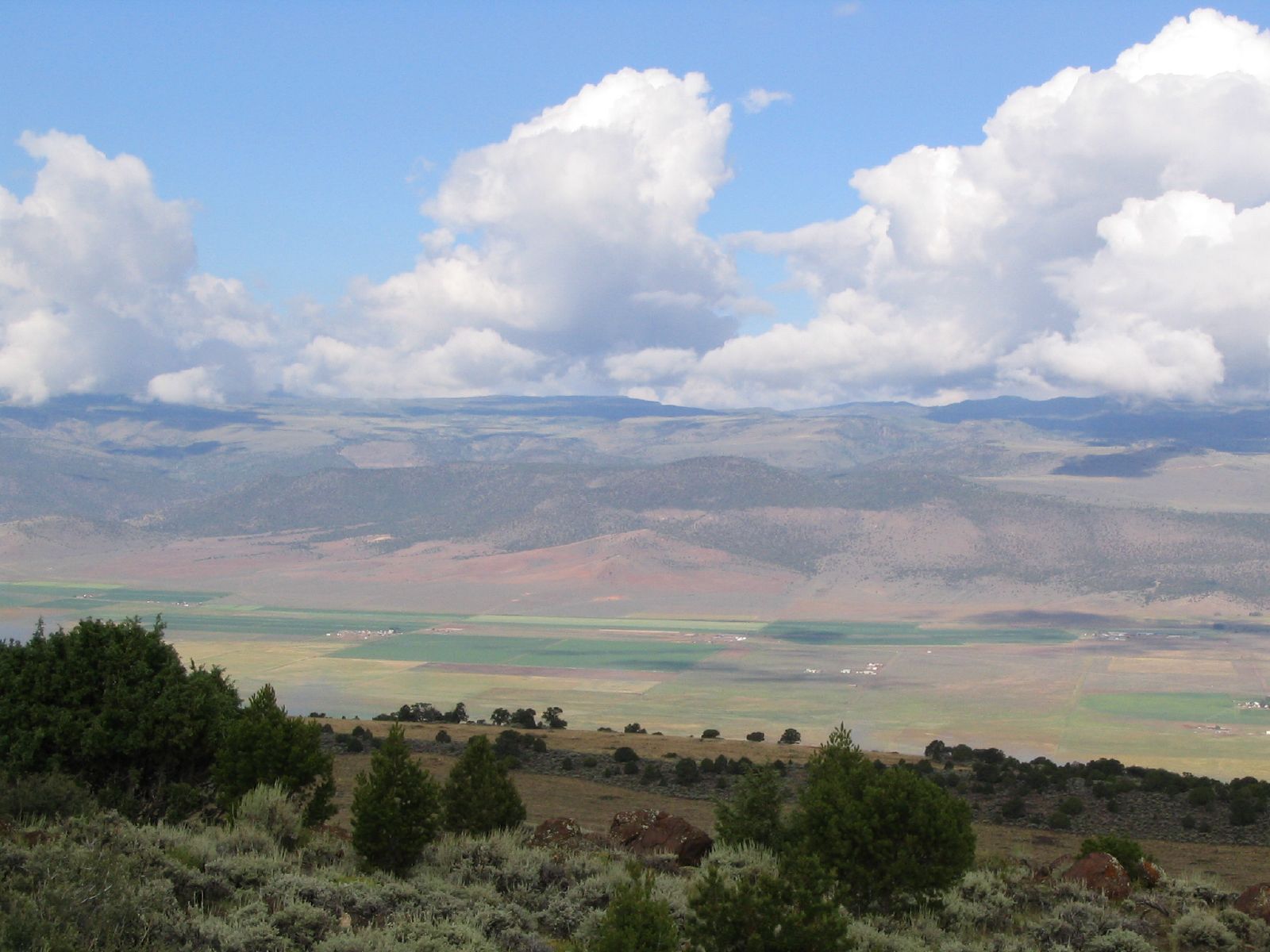 Commercial robots piute - Piute, UT