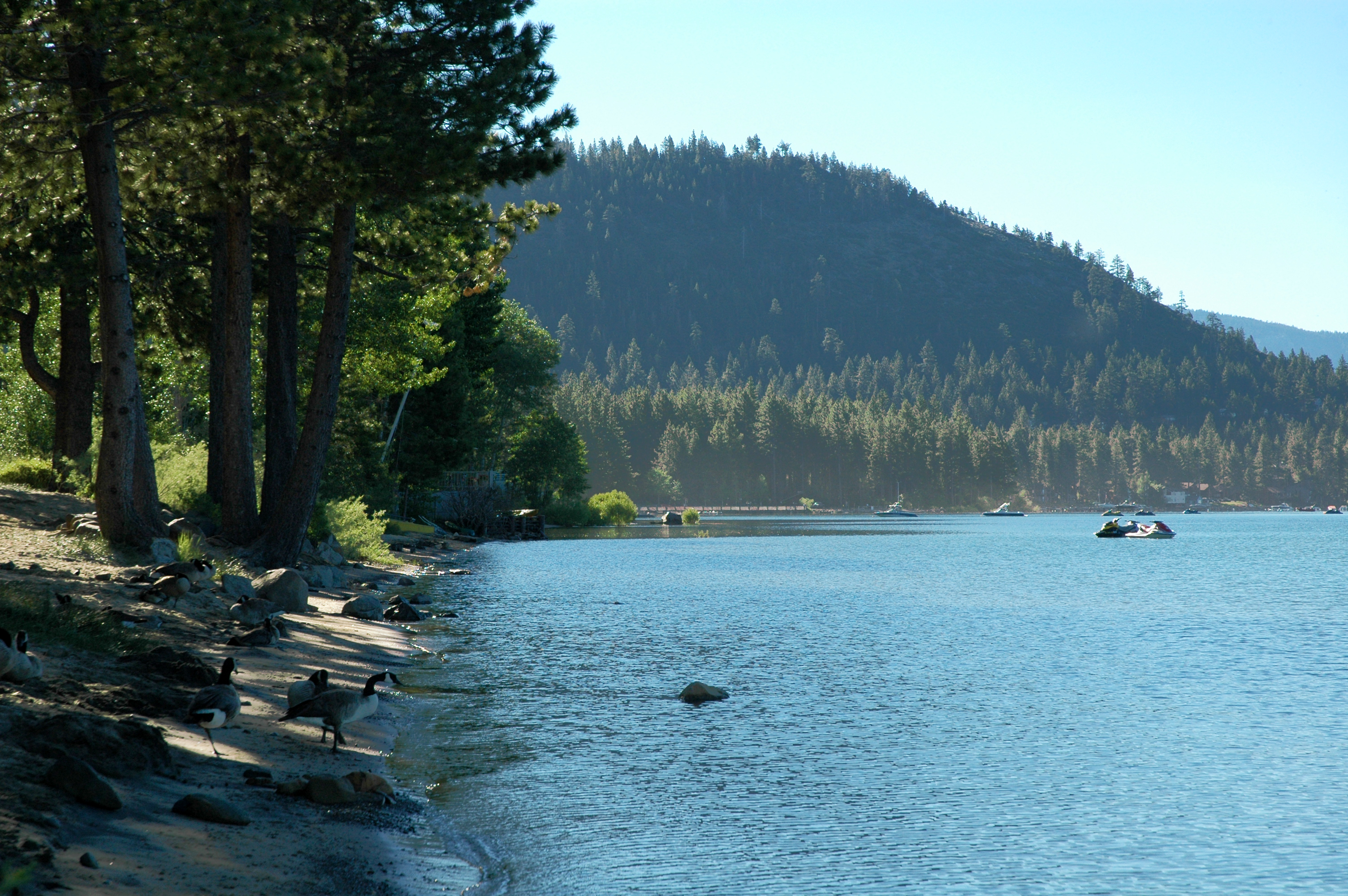 Commercial robots placer county - Placer County, CA