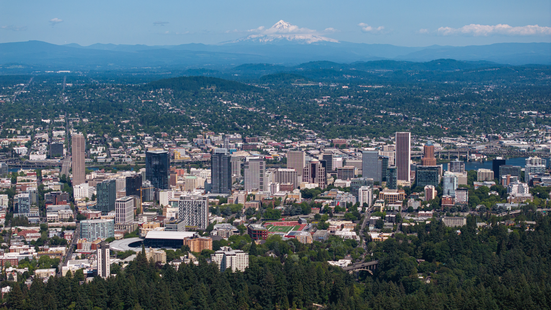 Commercial robots portland - Portland, OR
