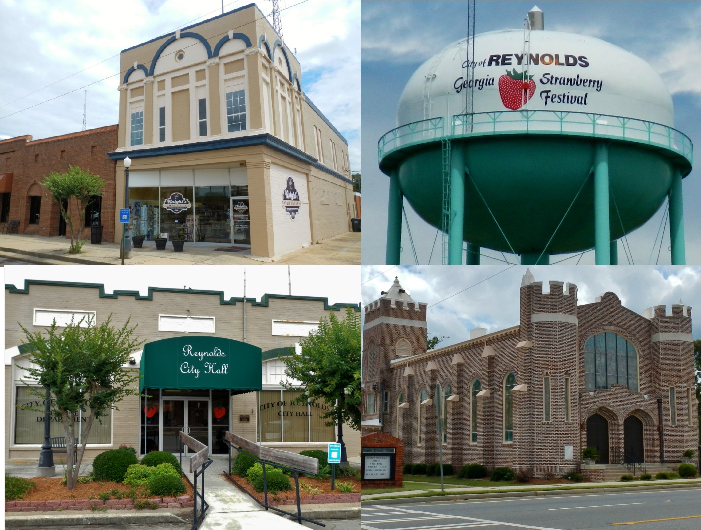 Commercial robots reynolds - Reynolds, GA