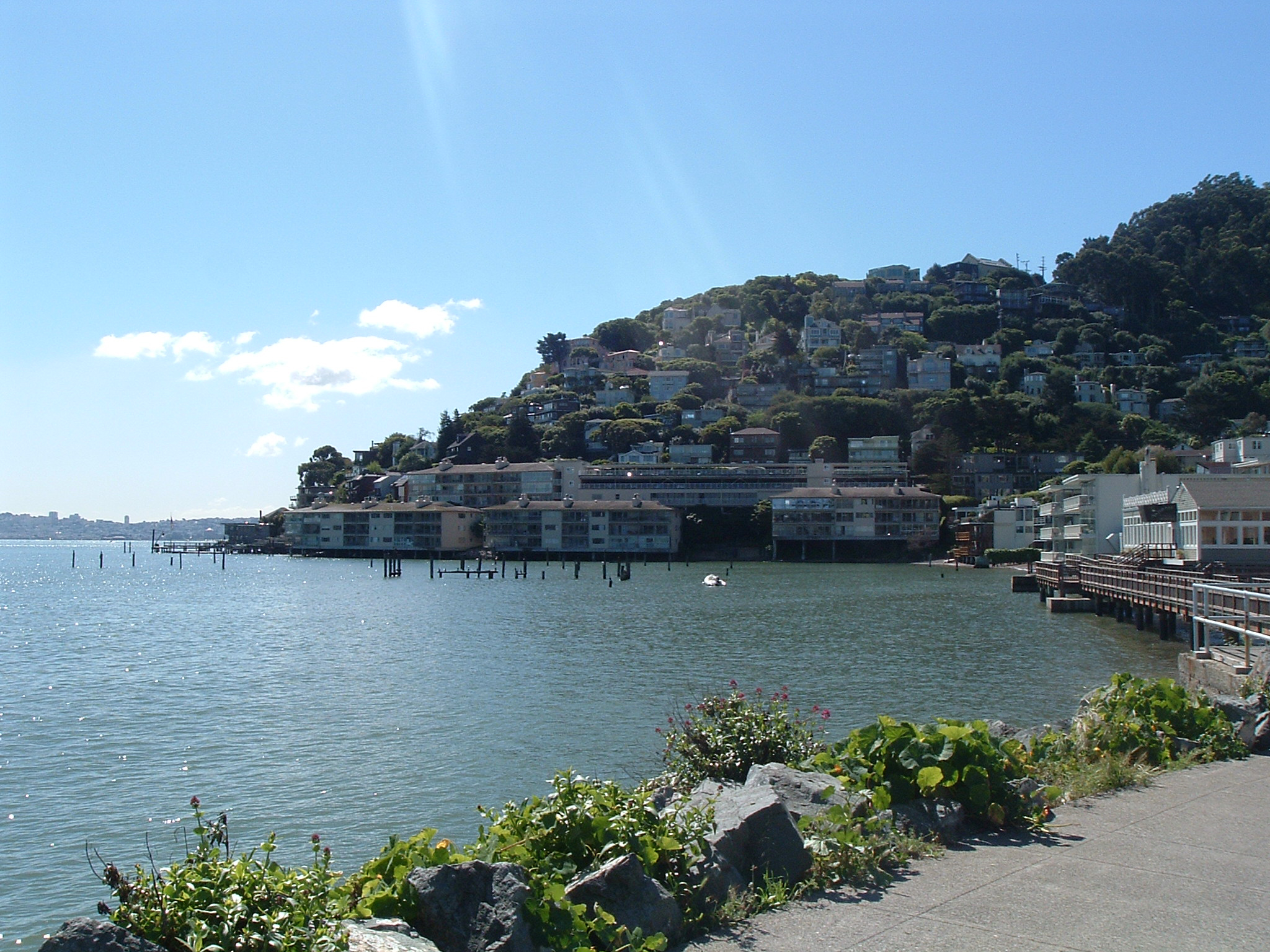 Commercial robots sausalito - Sausalito, CA