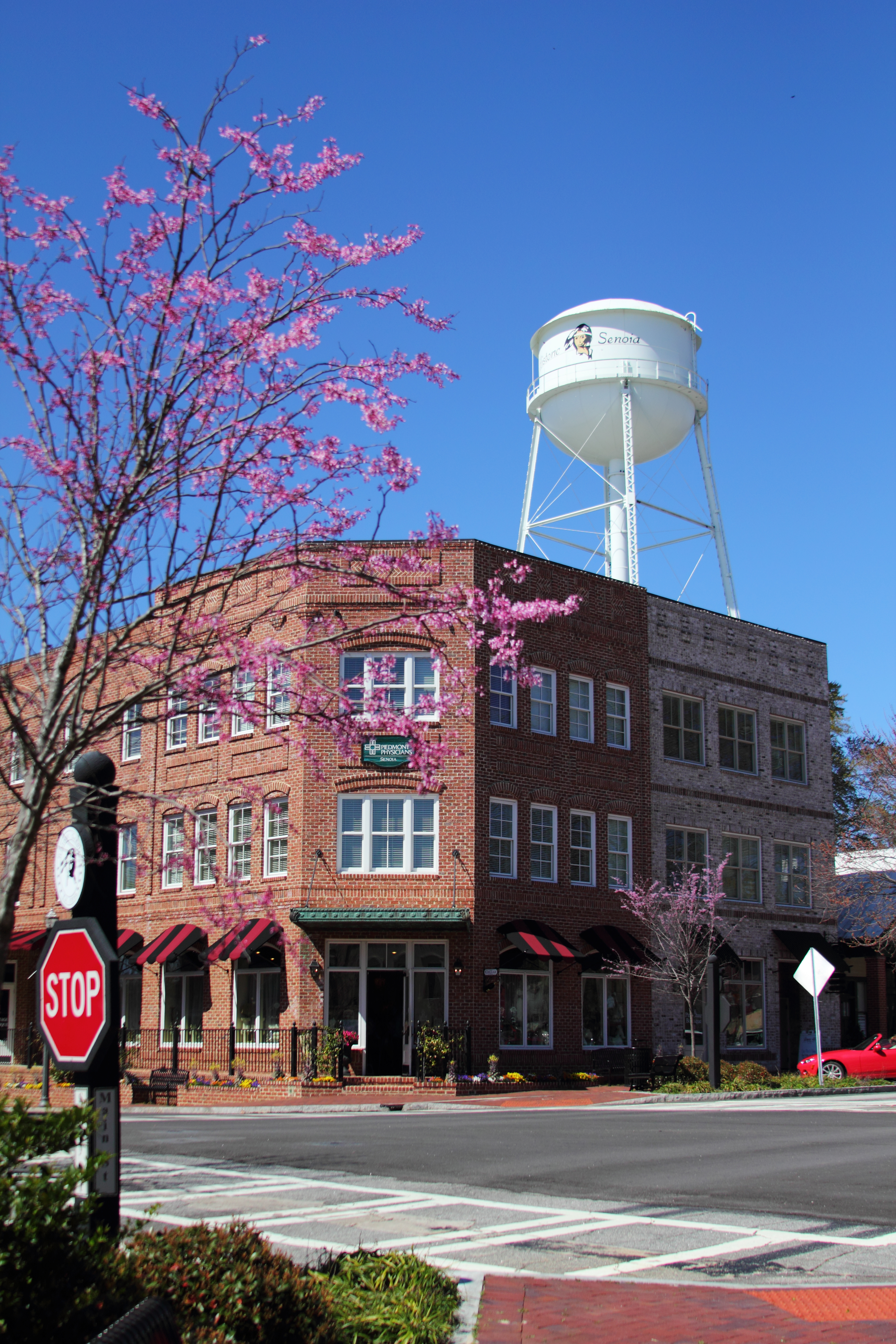 Commercial robots senoia - Senoia, GA