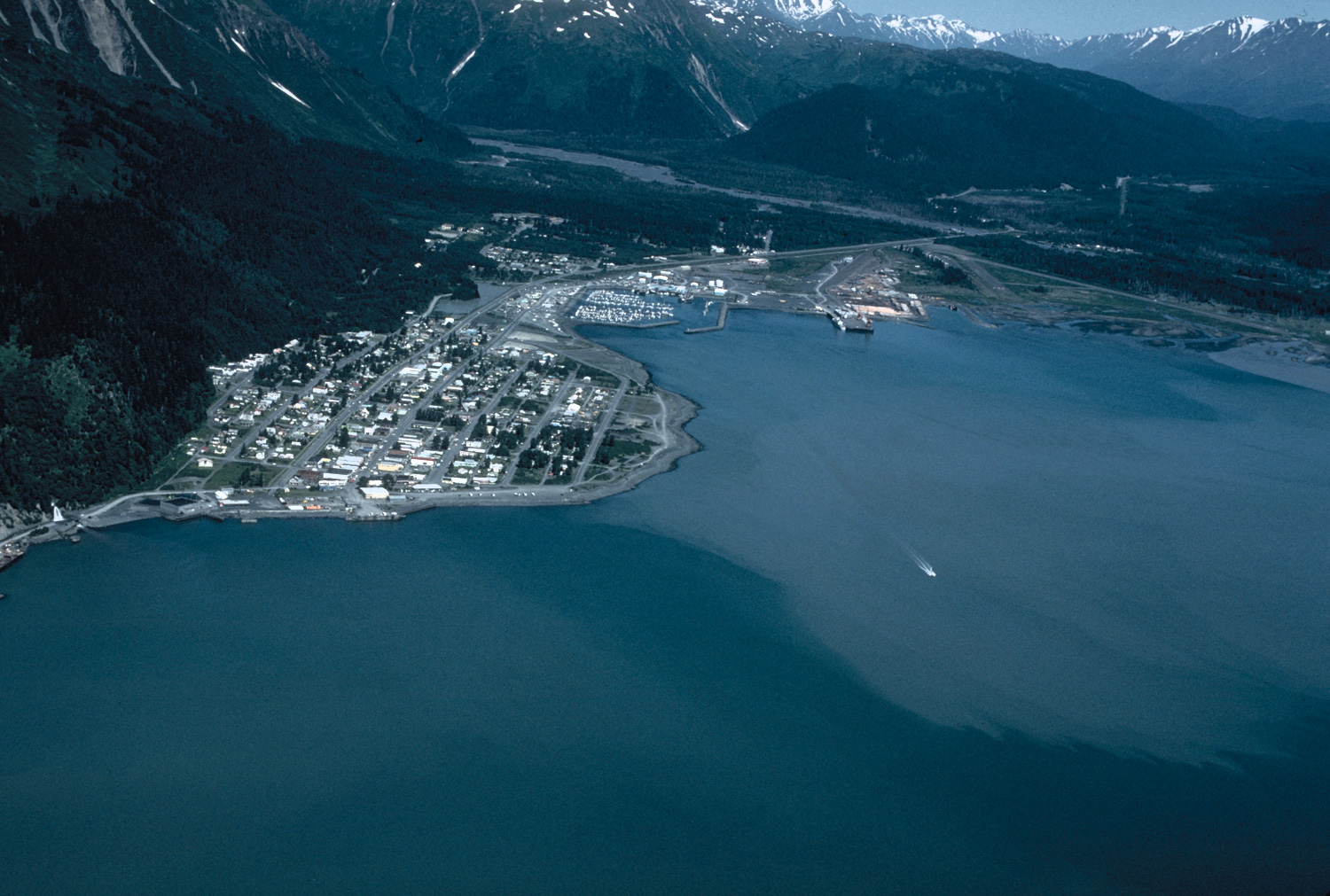 Commercial robots seward - Seward, AK