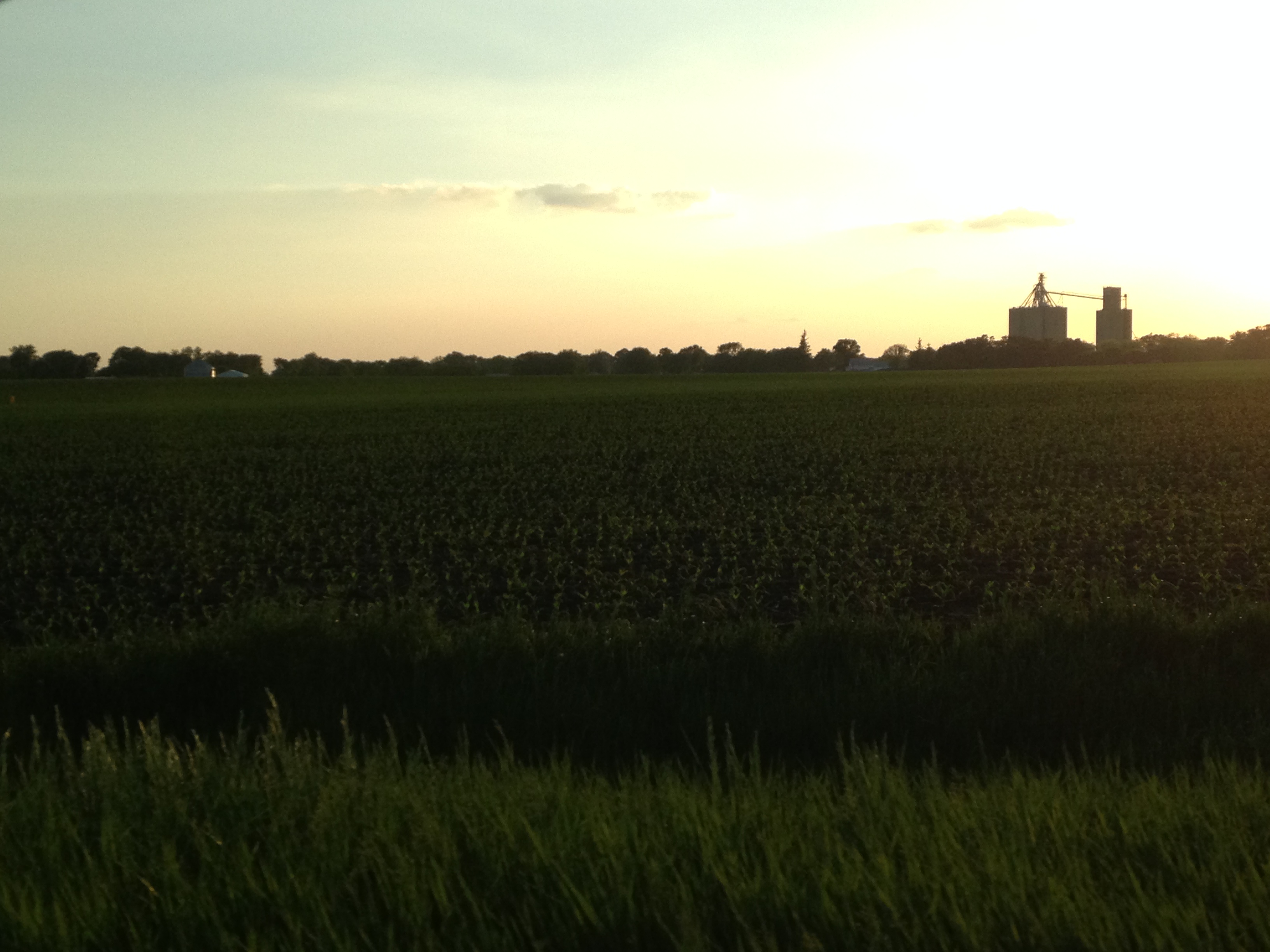 Commercial robots somers - Somers, IA