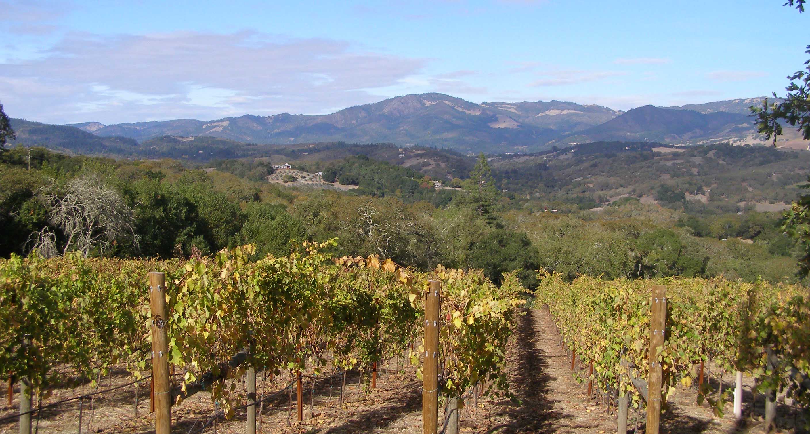 Commercial robots sonoma county - Sonoma County, CA