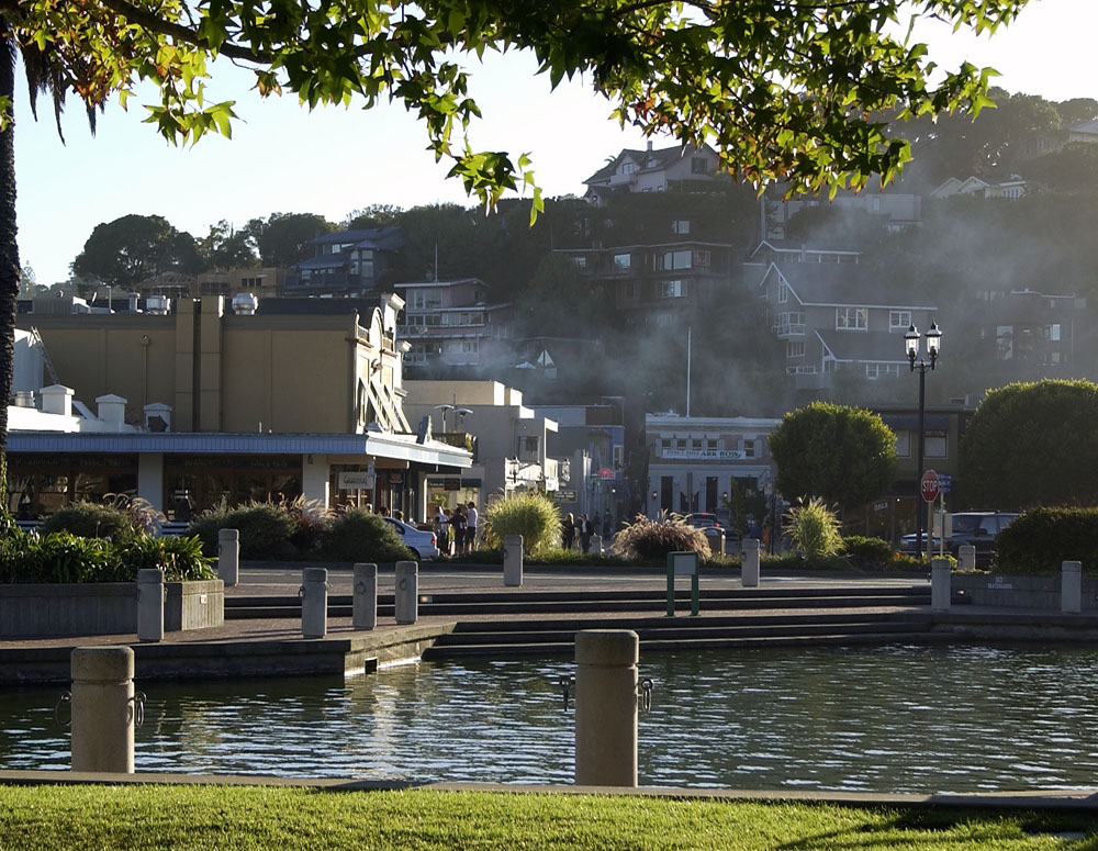 Commercial robots tiburon - Tiburon, CA