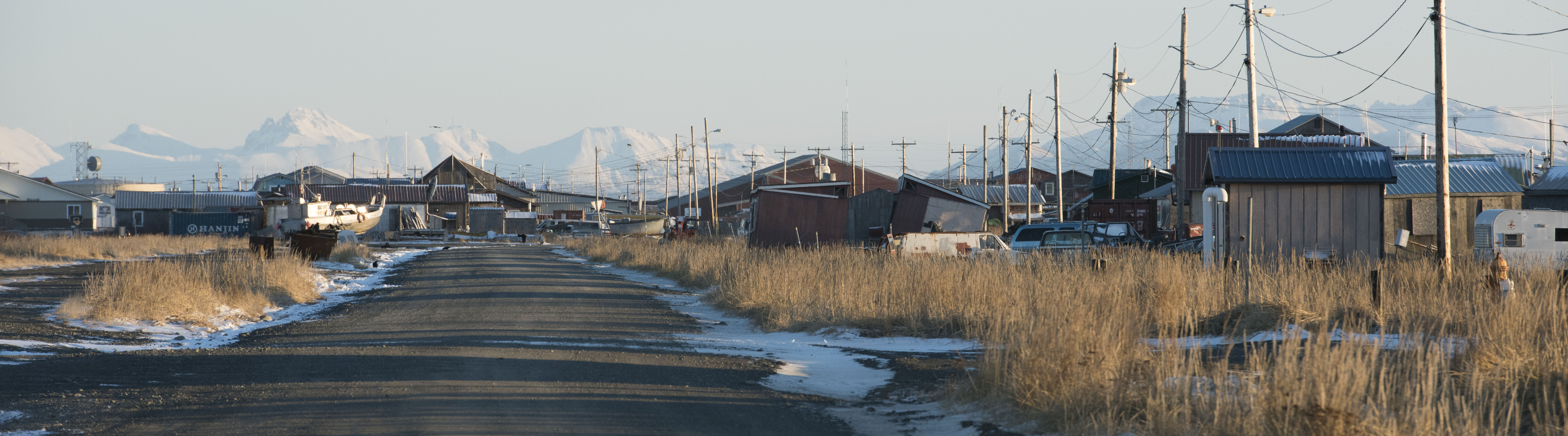 Commercial robots togiak - Togiak, AK