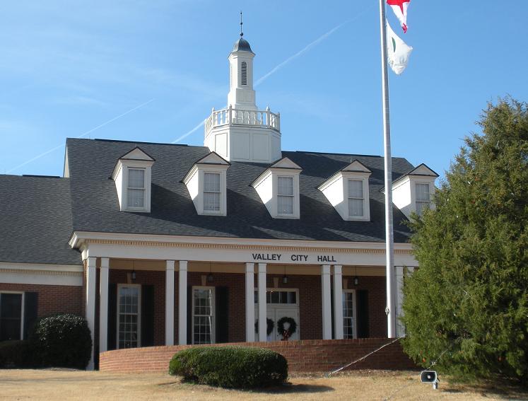 Commercial robots valley - Valley, AL
