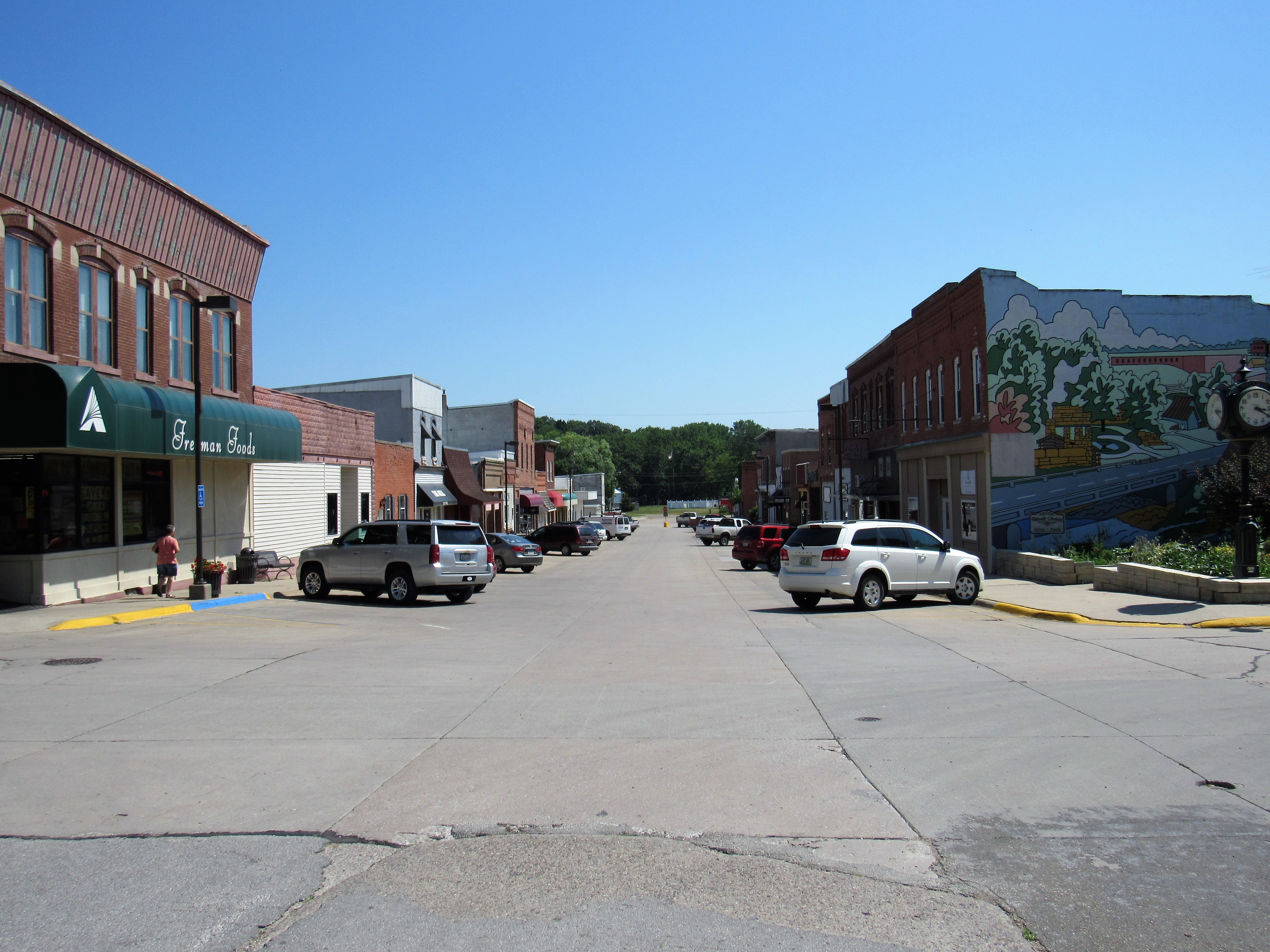 Commercial robots wellman - Wellman, IA
