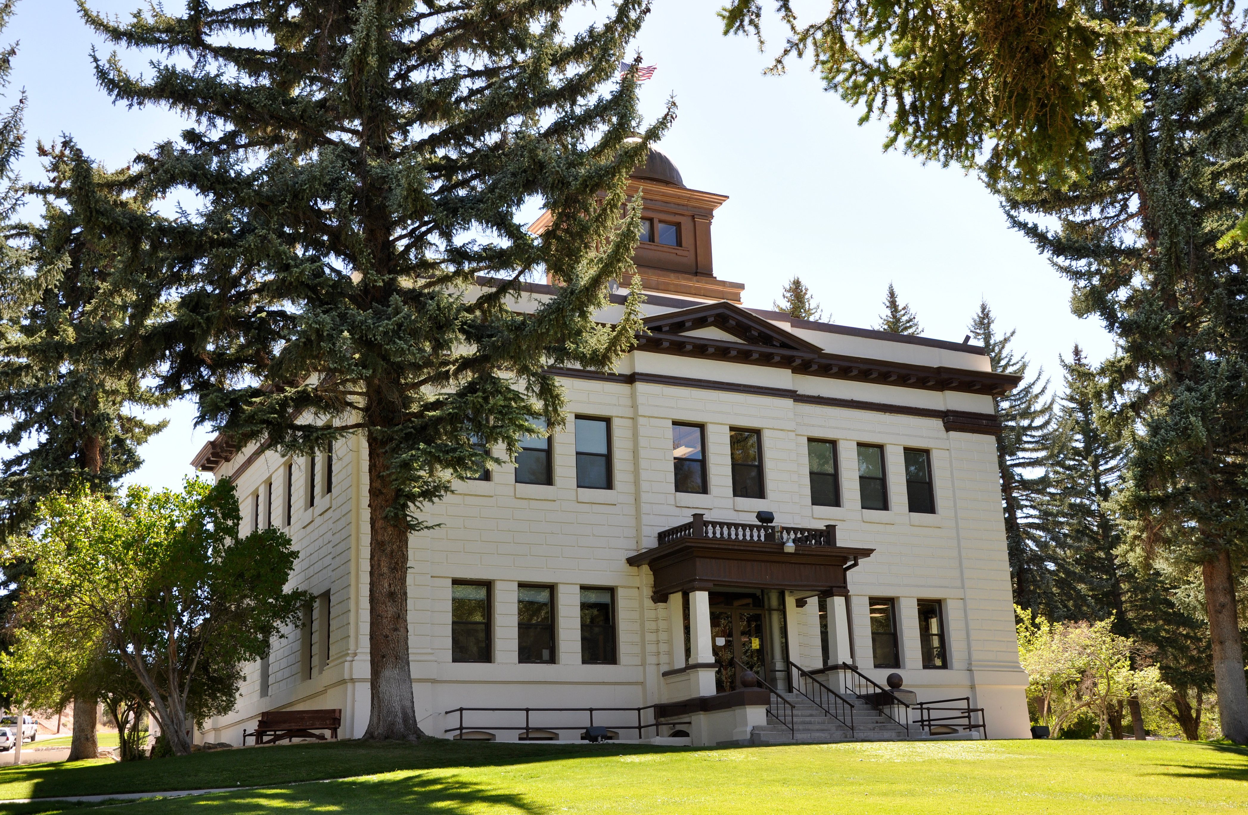 Commercial robots white pine - White Pine, NV