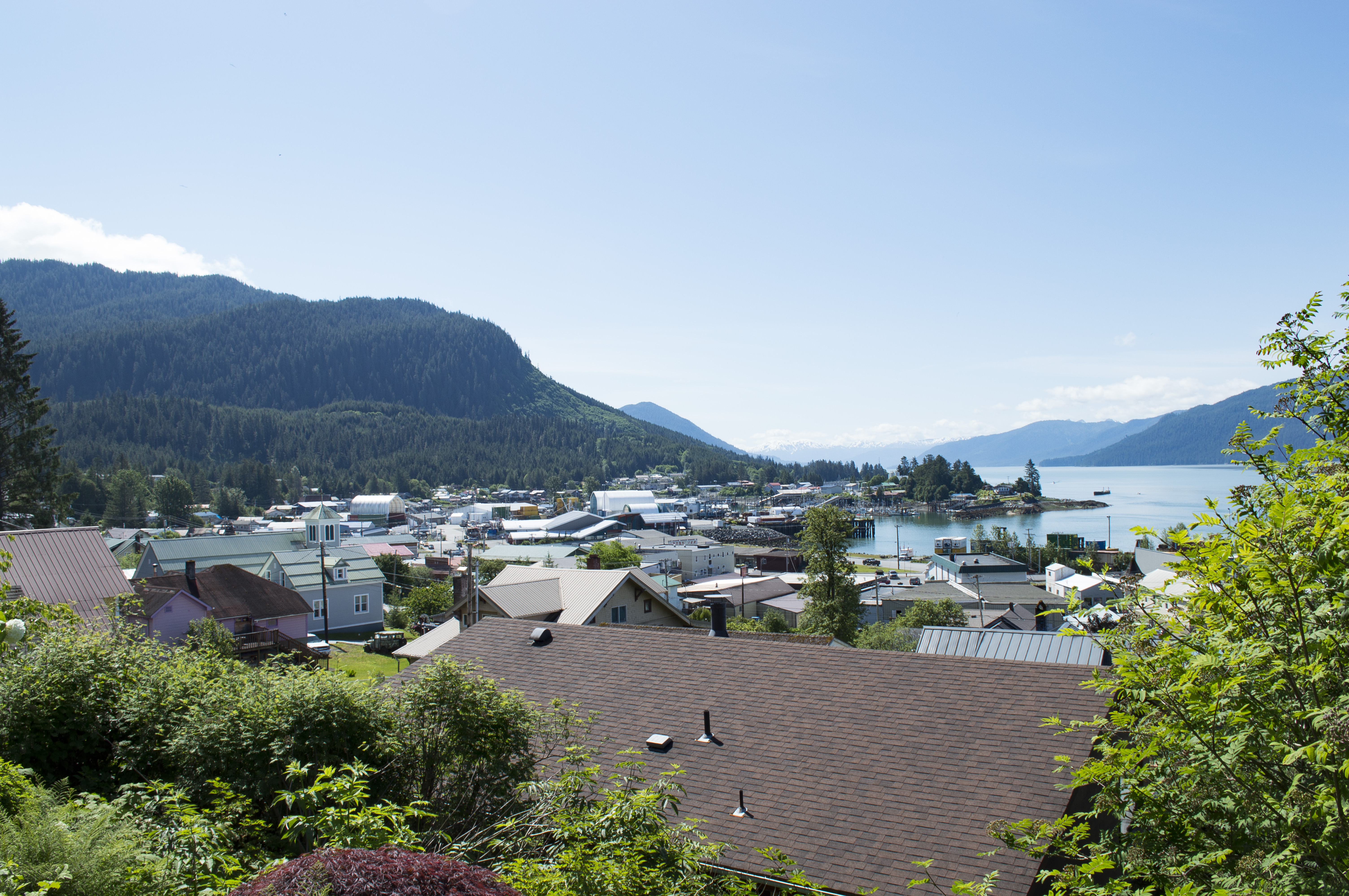 Commercial robots wrangell - Wrangell, AK