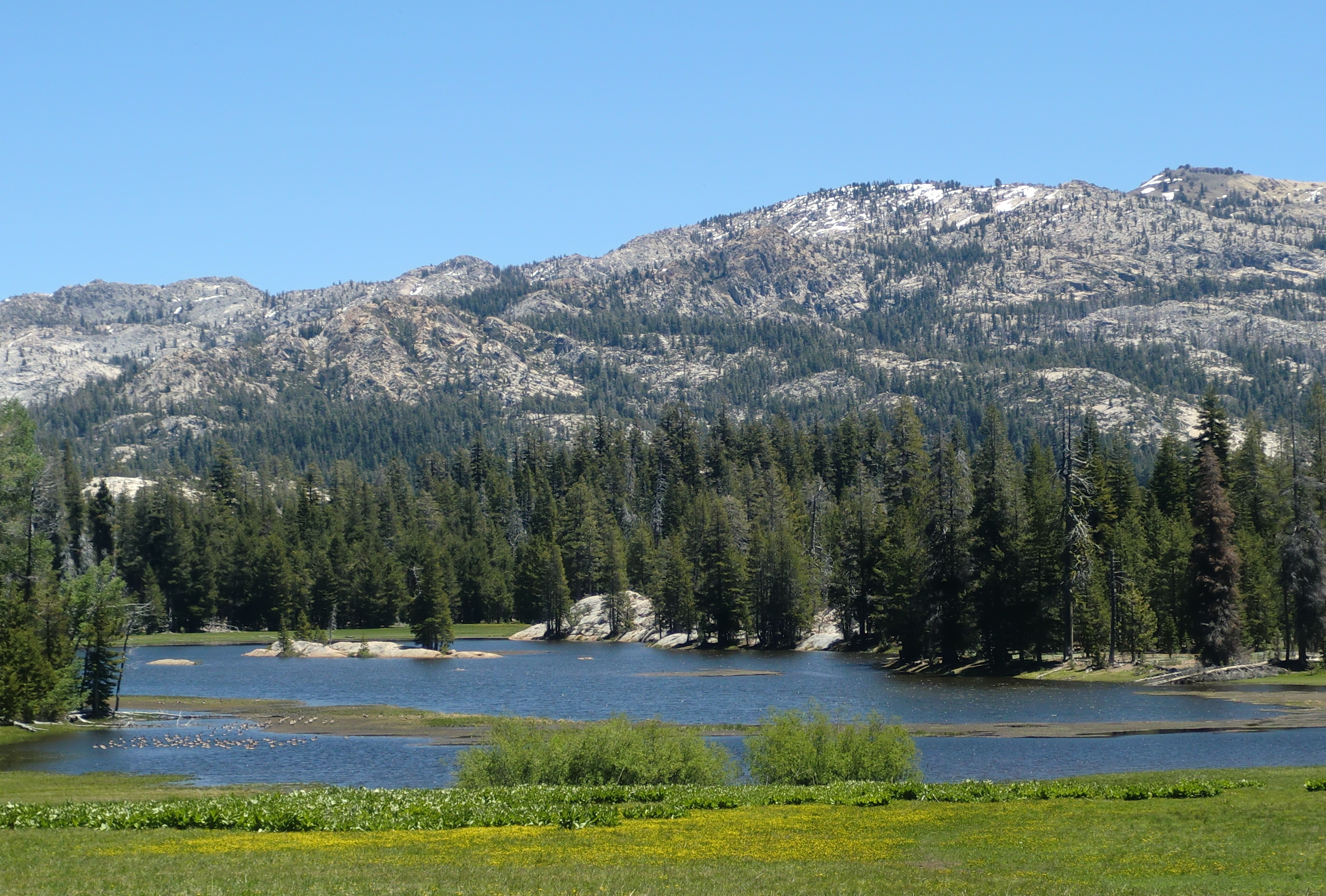 Stem technology - Calaveras, CA