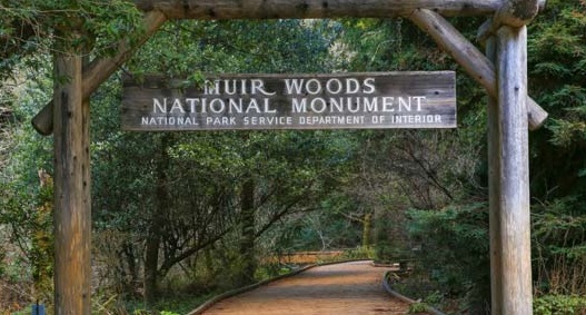 Robotic security - Marin, CA