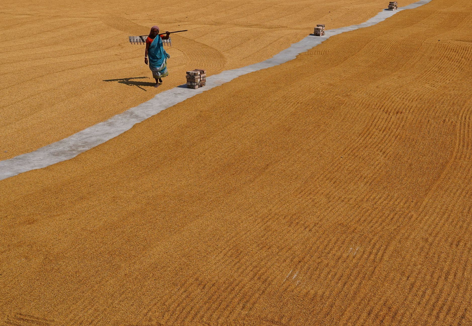 Curing and drying area in a brick plant