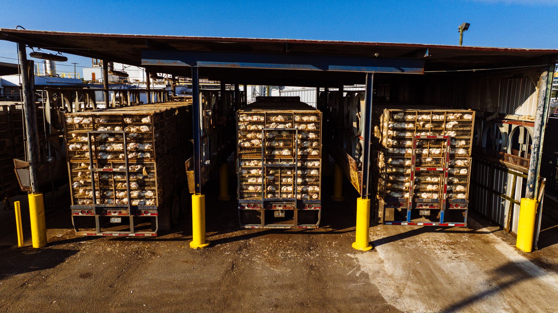 A food plant loading dock with open doors and a clear floor where finished goods are staged between production and shipping.