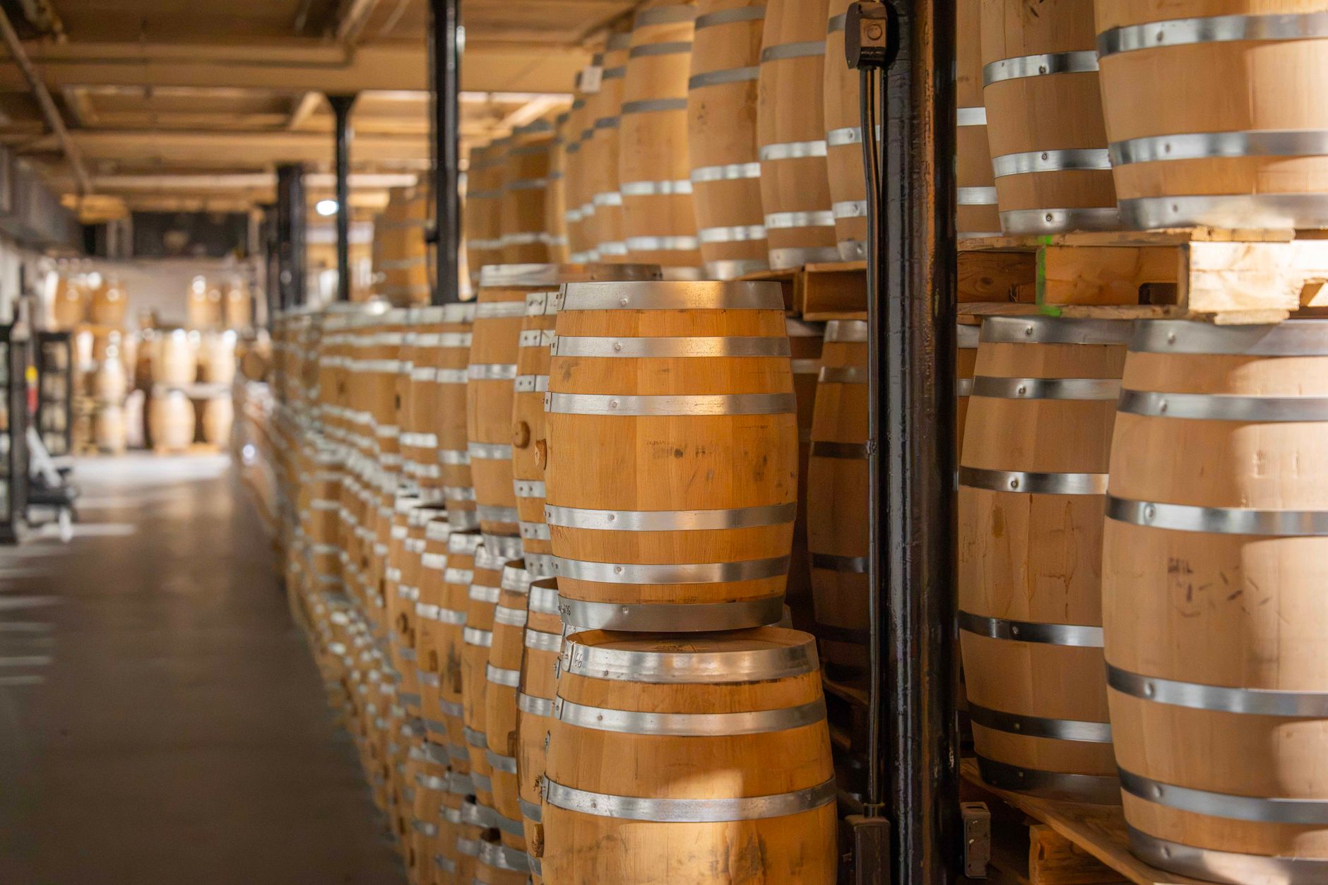 Fermentation cellar aisles in a brewery