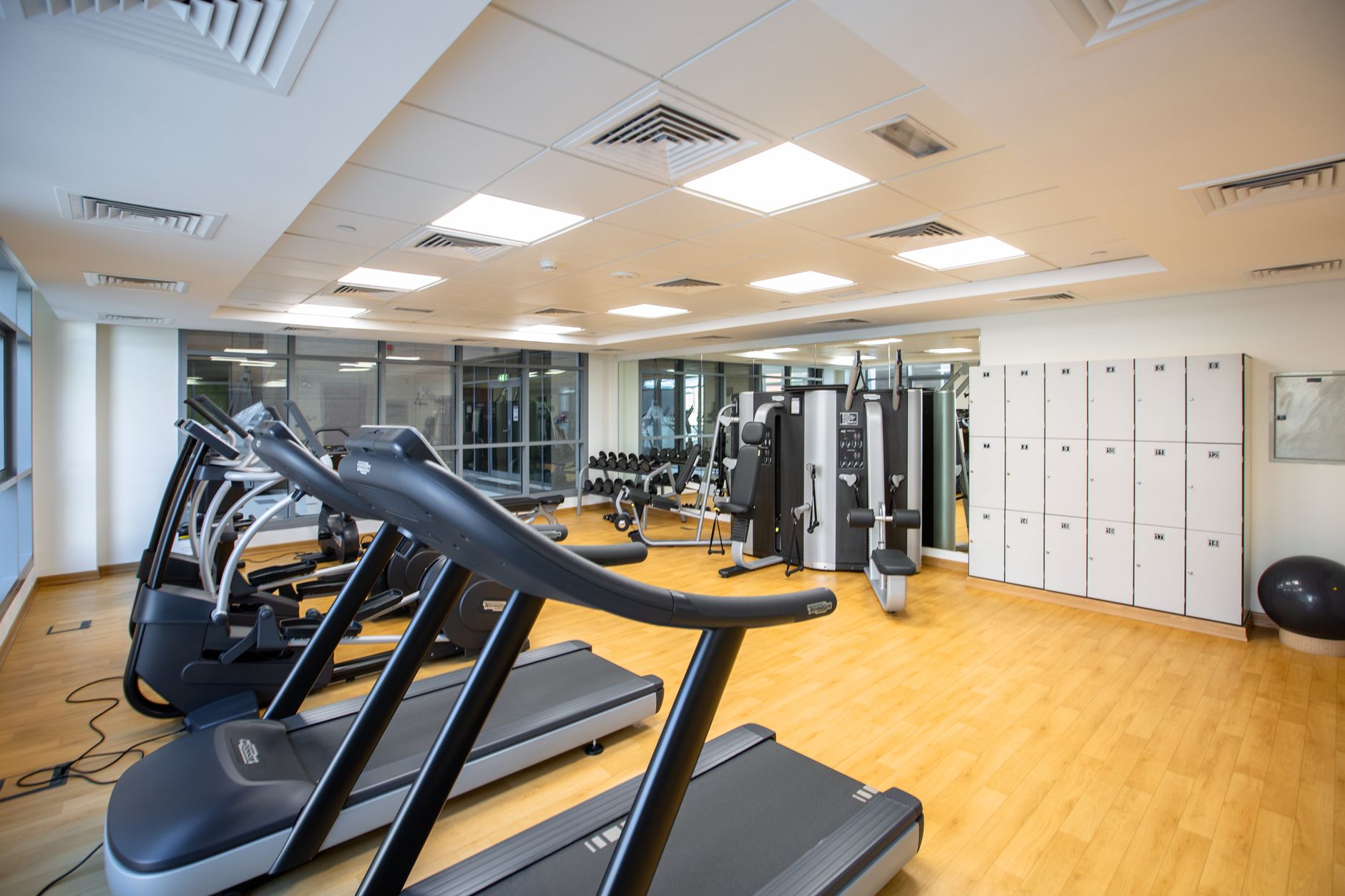 A row of treadmills and cardio machines in a gym cardio room, the open floor space that gets cleaned between classes.