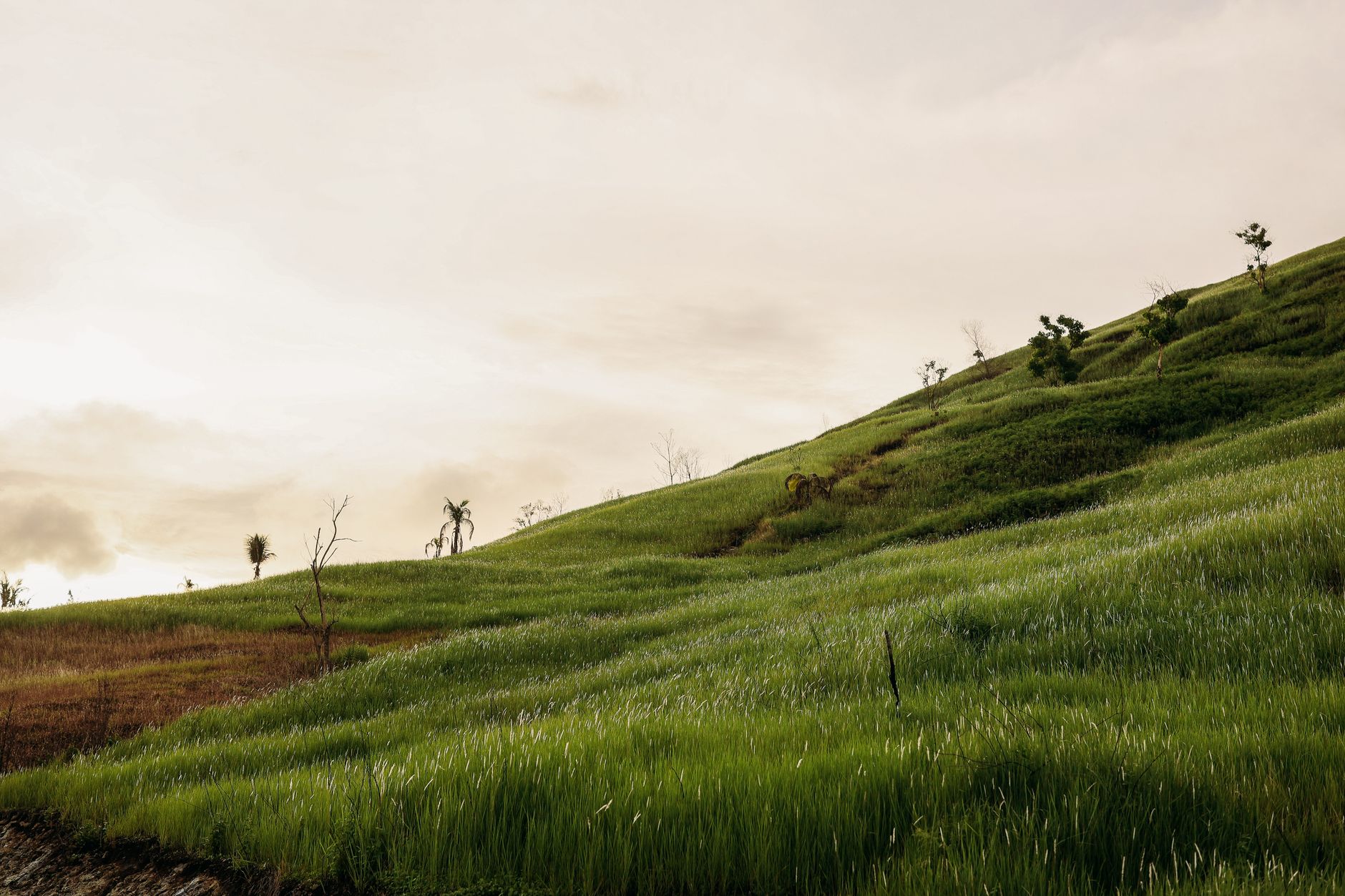 Sloped berms and retention banks in a corporate campus