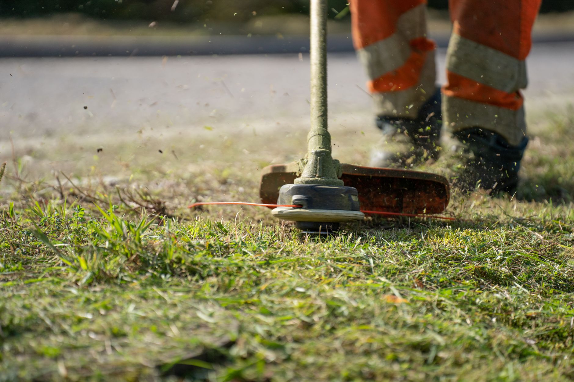 A close view of grass being trimmed along a curb edge.