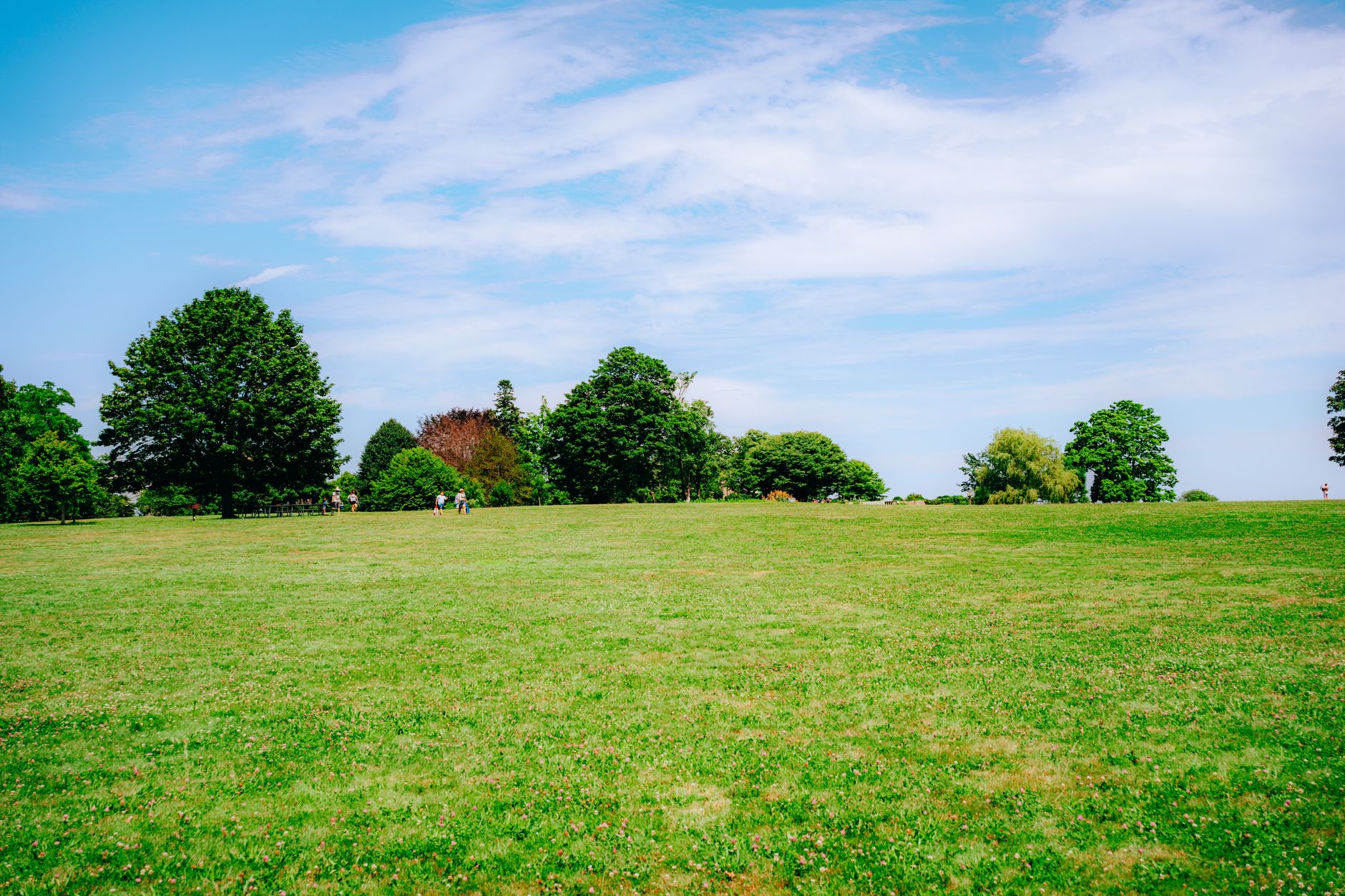 Open meadow lawns in a public park