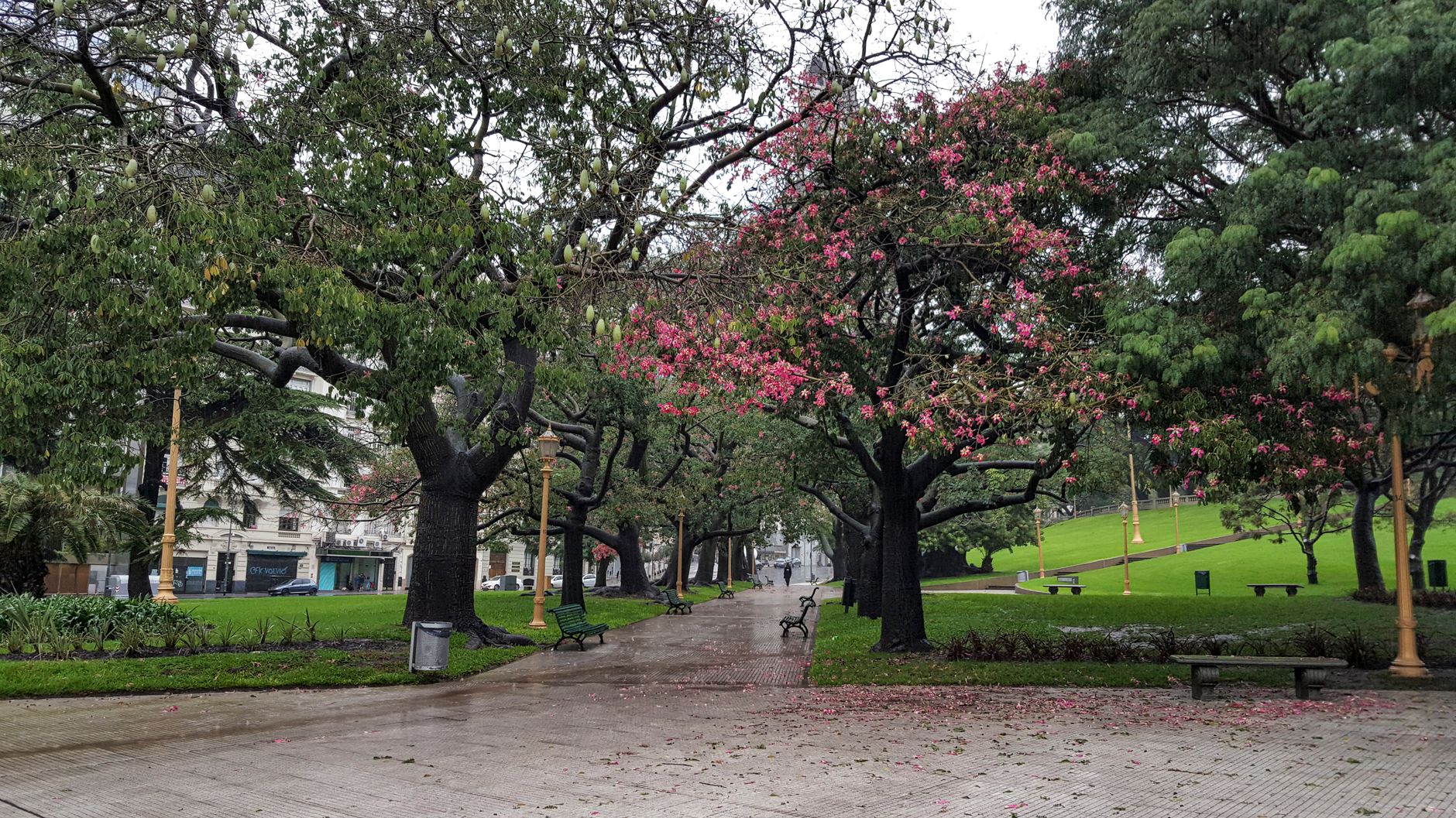 Perimeter strips in a public park