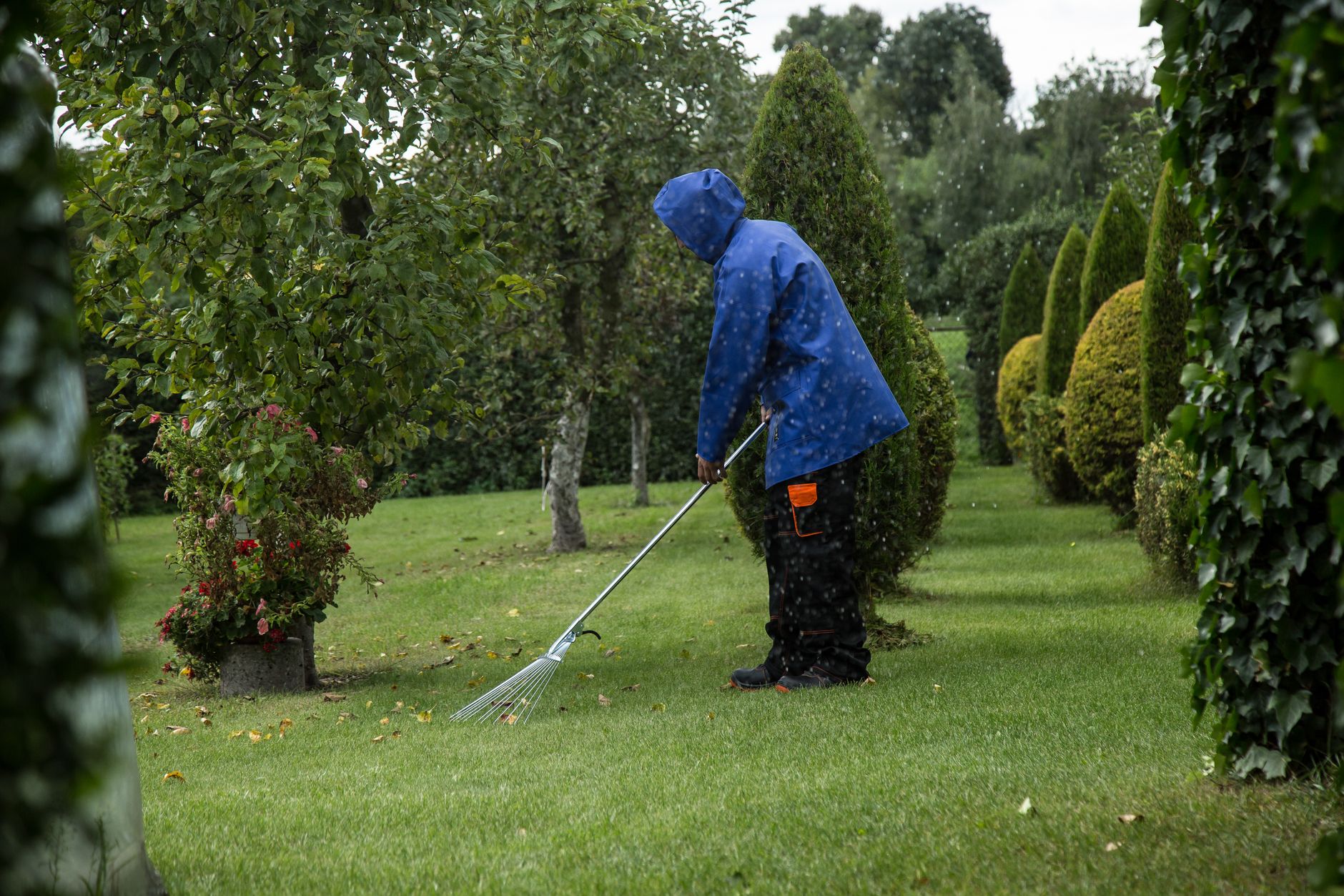 Groundskeeping hand tools and equipment laid out near a grassy area at a school grounds yard.