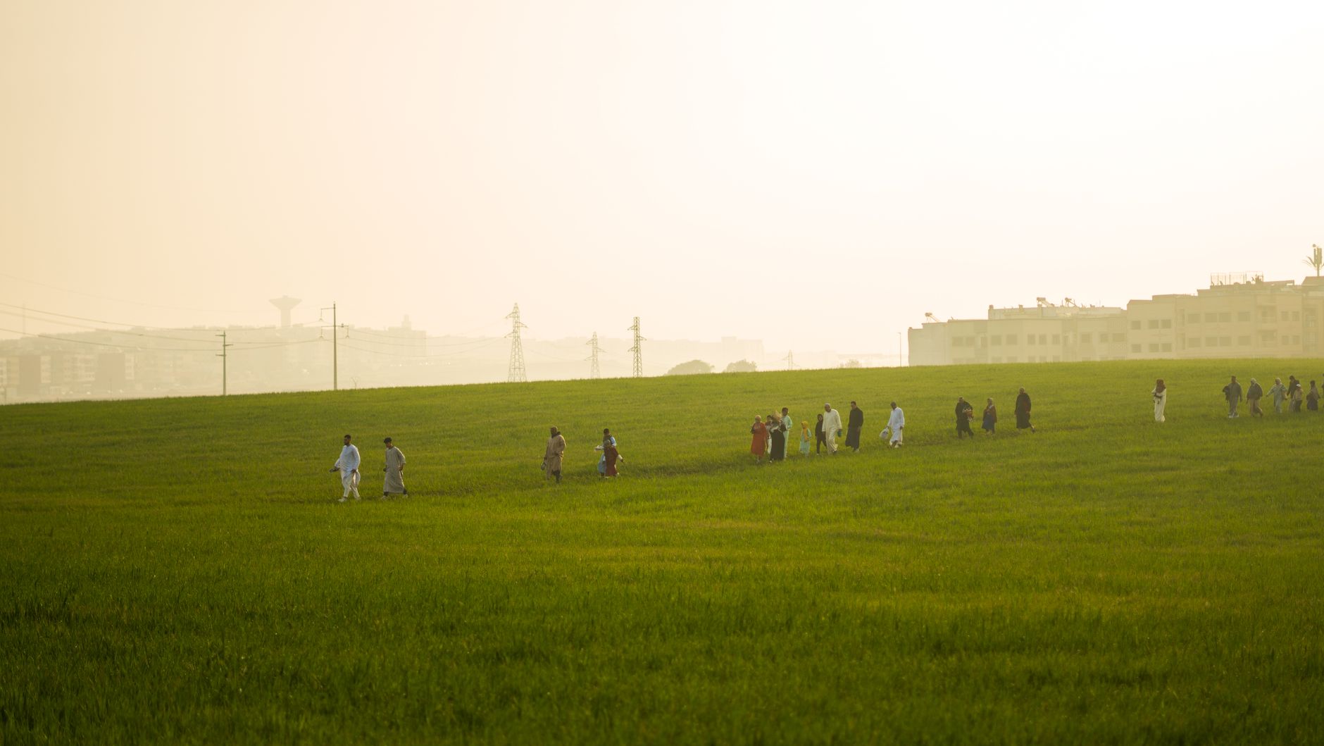 A small group of workers walks along the edge of a grassy field beside a line of solar panels.